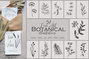 51 Line Art Botanical Illustrations