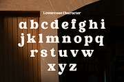 Newsford - Elegant Retro Serif Font, a Serif Font by Flawless And Co (Thumbnail 7 of 10)