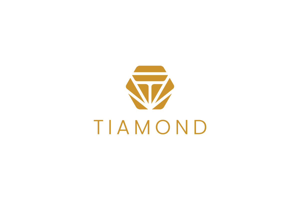 Luxury T Logo Template for Jewelry preview 7