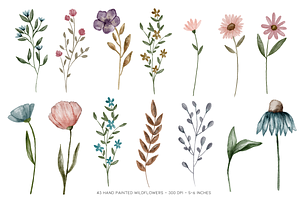 Painted Watercolor Flowers Clipart