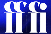 Seafibe Modern Serif Display, a Serif Font by timelesstype.co (Thumbnail 4 of 20)
