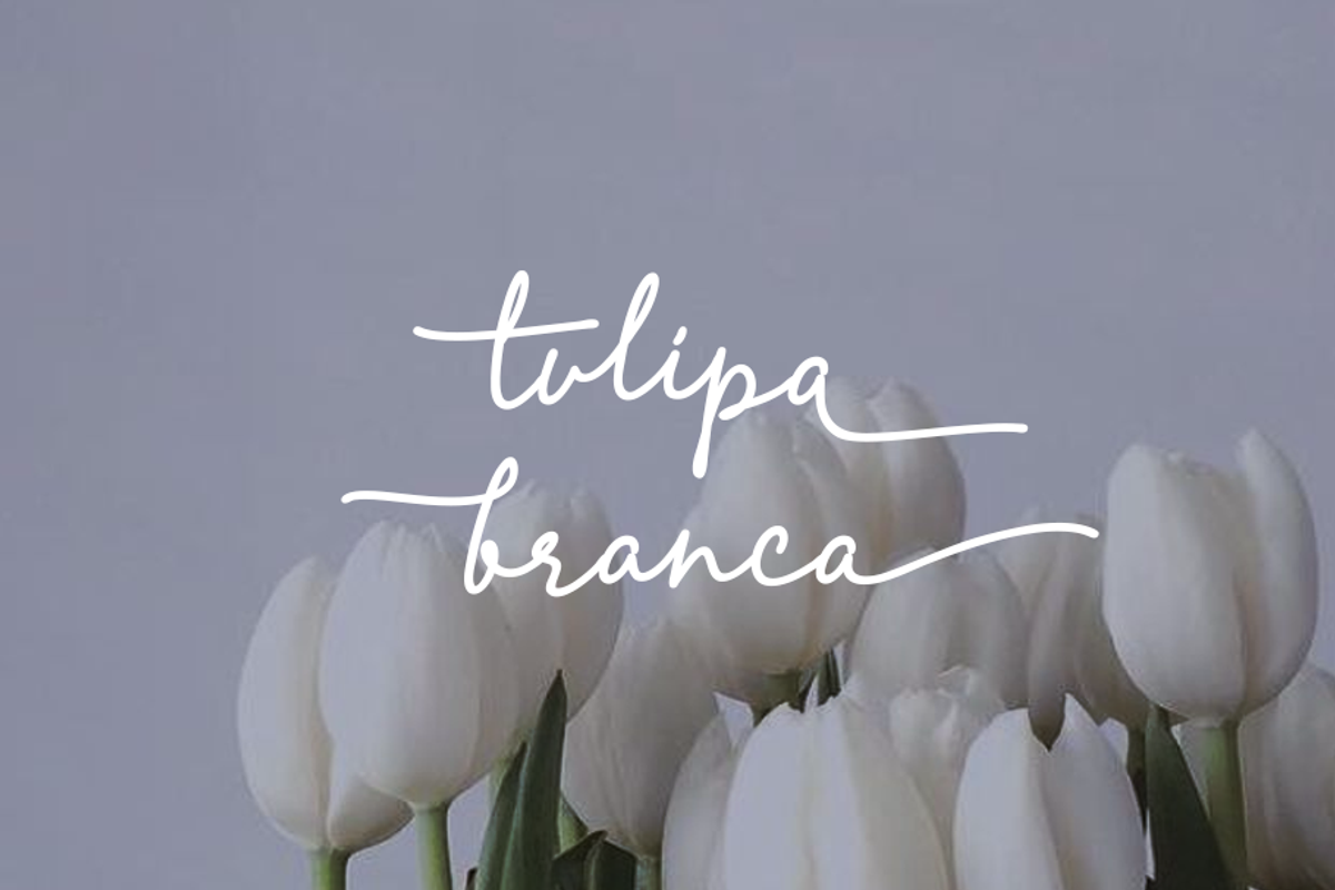 Lamelan, a Script Font by GlottaTypeface (Photo 4 of 8)