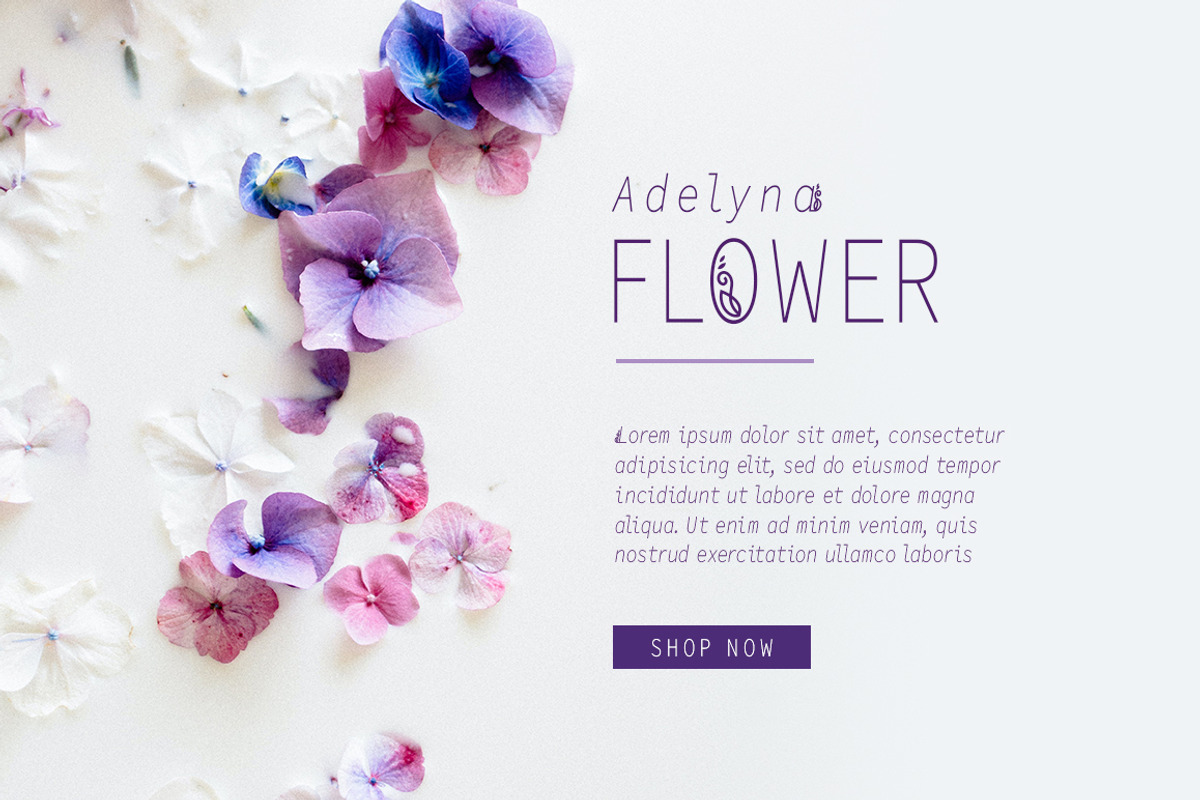 Adelyna Sans, a Sans Serif Font by yantodesign (Photo 3 of 11)