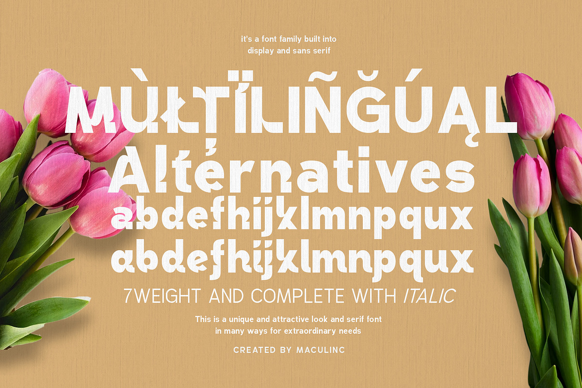Demoise - 2 Font Styles (28 Fonts), a Sans Serif Font by Maculinc Type (Photo 9 of 9)
