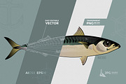 Seafood Vector Pack, an Object Graphic by ConceptCafe (Thumbnail 4 of 4)