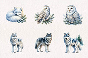 Watercolour Winter Arctic Animals, a Seasonal Illustration by CreationArt (Thumbnail 2 of 7)