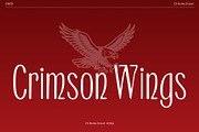 CS Burke Drawn, a Serif Font by Craft Supply Co. (Thumbnail 2 of 8)