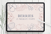 Berries Procreate Stamp Brushes, a Brush Add-On by Little Nordic Atelier (Thumbnail 1 of 4)