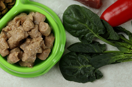 Concept of organic pet food on white textured background, a Food & Drink Photo by AtlasStudio PRO