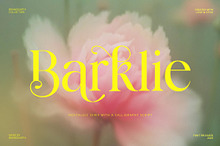 Barklie - A Nostalgic Serif Typeface