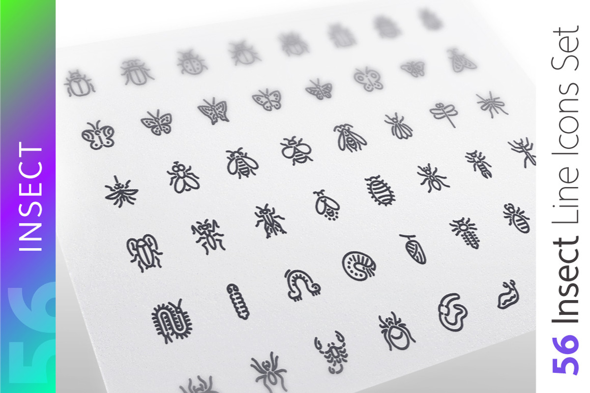 Insect Line Icons Set, an Outline Icon by Voysla's Shop (Photo 1 of 4)