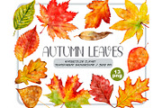 Watercolor autumn leaves clipart, a Seasonal Illustration by ArtfulStudio (Thumbnail 1 of 7)