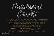 Hockaige - Elegant Handwritten Brush, a Handwritten Font by Sealoung (Thumbnail 8 of 12)