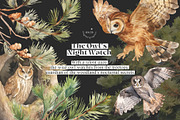 Woodland Bundle, an Animal Illustration by TheCuteShop (Thumbnail 5 of 12)