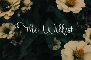 The Willyst
