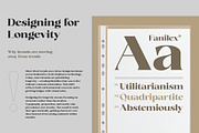 Fanilex, a Serif Font by Propertype (Thumbnail 4 of 16)
