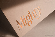 The Silver Editorial - 18 Fonts Pack, a Serif Font by SilverStag Type Foundry (Thumbnail 28 of 30)