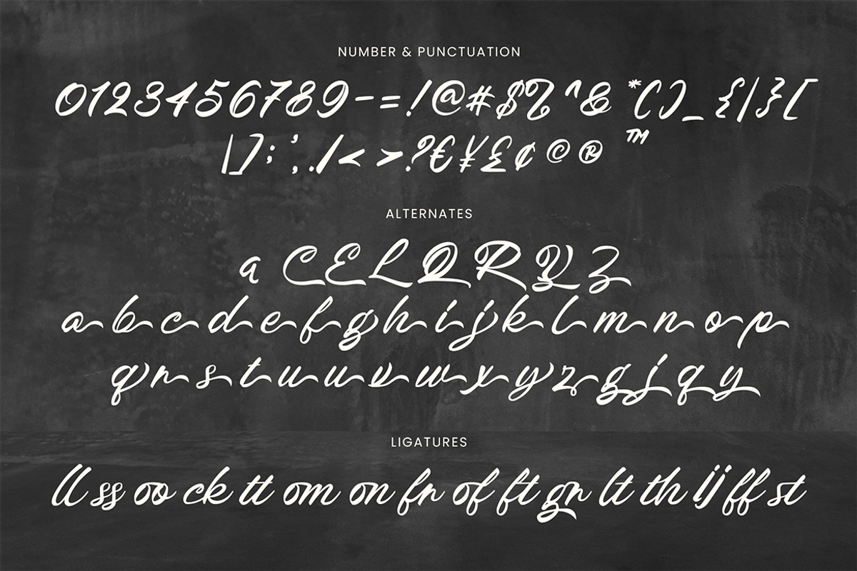 Broocklyn Brush Script, a Script Font by Creatype Studio (Photo 7 of 10)