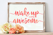 Chamelia Script, a Script Font by Areatype (Thumbnail 9 of 10)