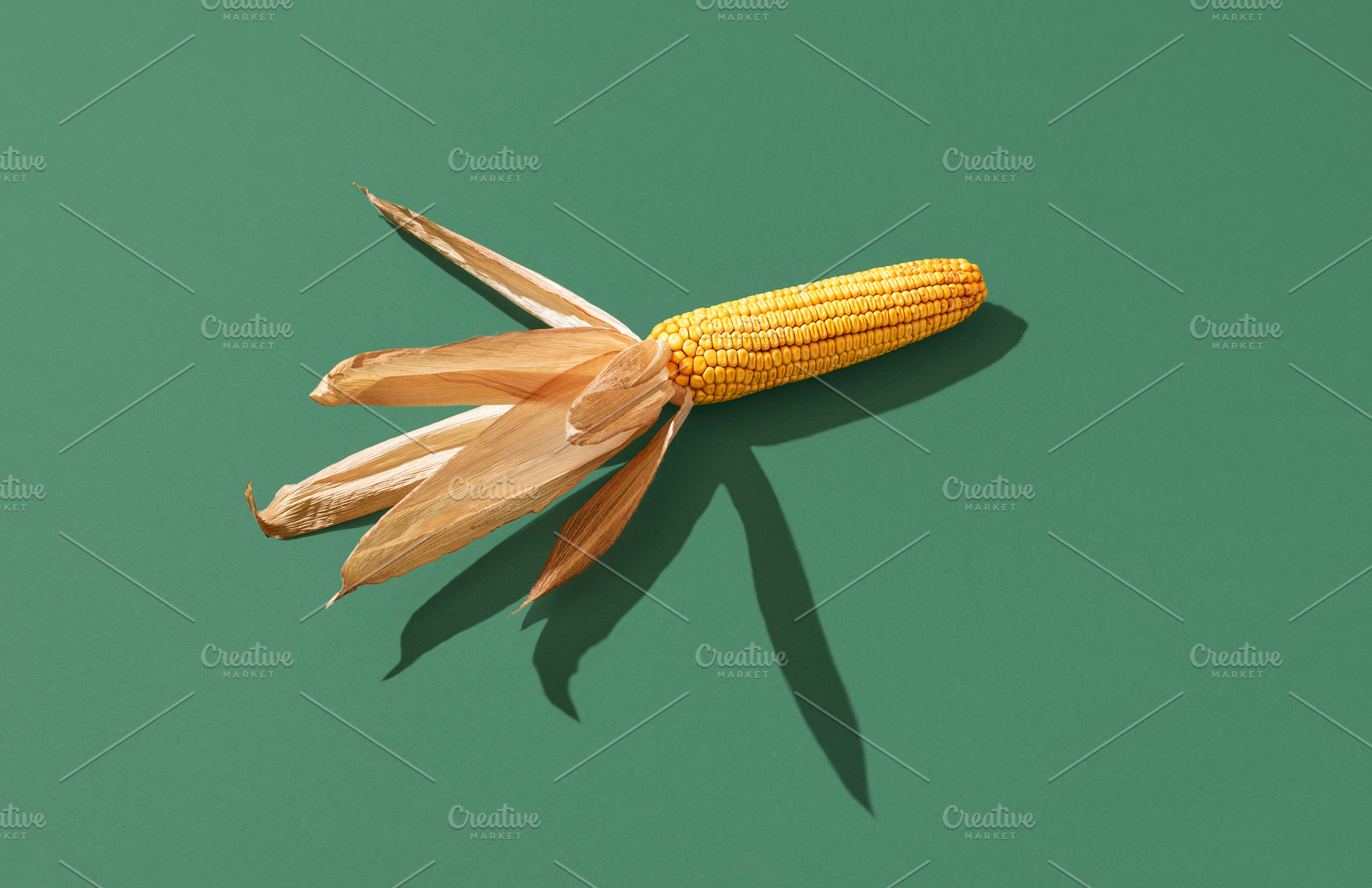 Maize isolated on a green background. Single ripe corn in bright, a Food & Drink Photo by YesPhotographers