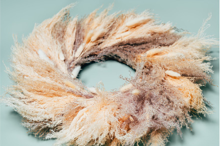 Wreath from Dried Pampas Grass, a Nature Photo by MAnuta