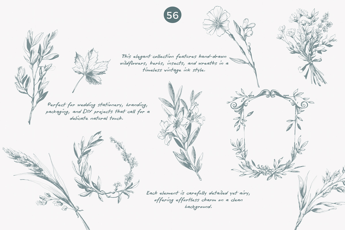vintage clipart ink illustration set, a Decorative Illustration by Patishop Art (Photo 6 of 9)