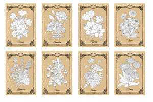 Big Set Of Vector Hand Drawn Flowers