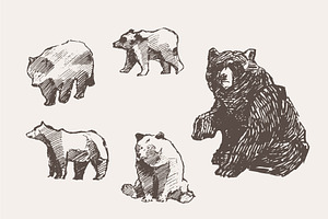 Set Of Sketches Of Walking Bears