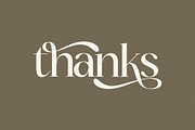 Fanlste Ligature Typeface Font, a Serif Font by Storytype Studio (Thumbnail 13 of 13)