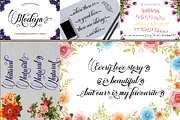 THE COLLECTION BUNDLE, a Script Font by danti (Thumbnail 12 of 31)