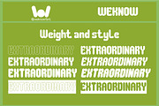 Extraordinary font, a Font by weknow (Thumbnail 7 of 8)