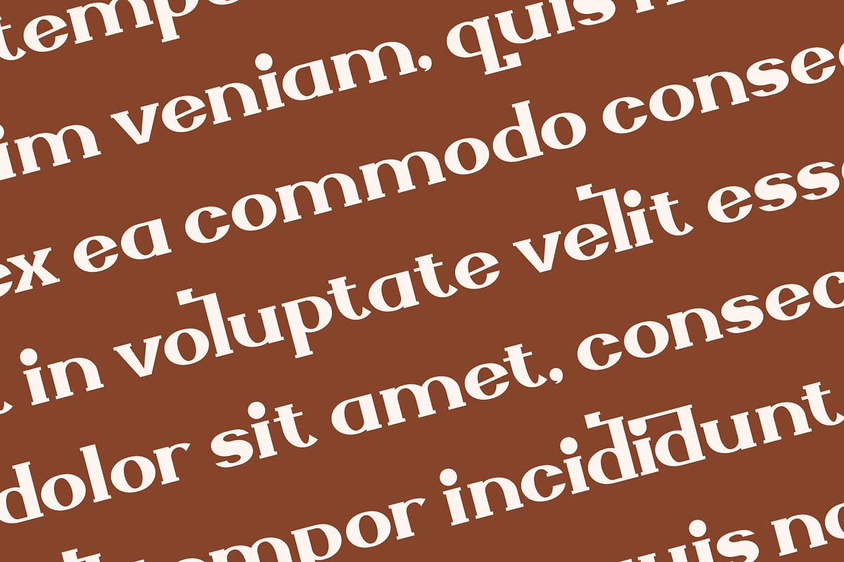 Zellique - Modern Serif Font, a Serif Font by Rishsketch (Photo 8 of 15)