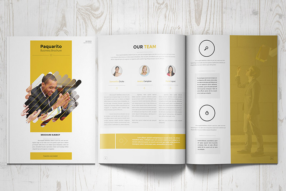 Paquarito Business Proposal, a Brochure Template by Kahuna Design (Photo 1 of 4)