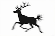 Majestic Deer Antler Collection, an Illustration by Designs_River (Thumbnail 7 of 7)