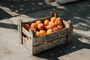 Summer market crate with apricots, a Food & Drink Photo by Virgo Studio