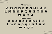 ChunkRiot-Geometric Display Typeface, a Sans Serif Font by AN Productions (Thumbnail 2 of 4)