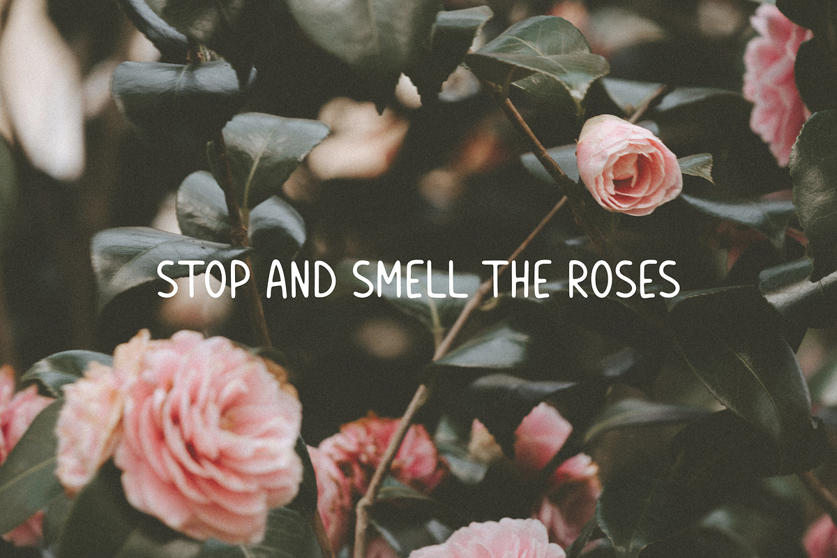 Meadow Notes - Handwritten Font, a Sans Serif Font by simpleblues (Photo 12 of 12)