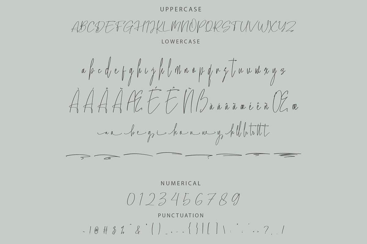 Willentia - Elegant Script Font, a Script Font by NTC Graphic (Photo 8 of 9)