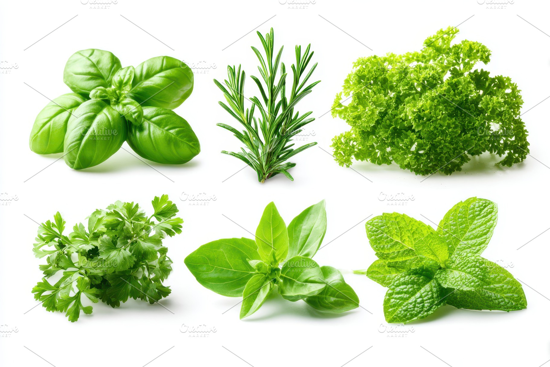 Fresh mixed culinary herbs on white background, a Food & Drink Photo by AlyaAnd
