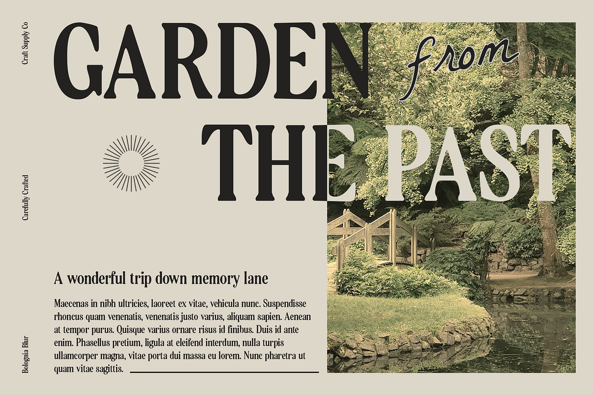 Bolognia Blur, a Serif Font by Craft Supply Co. (Photo 7 of 8)