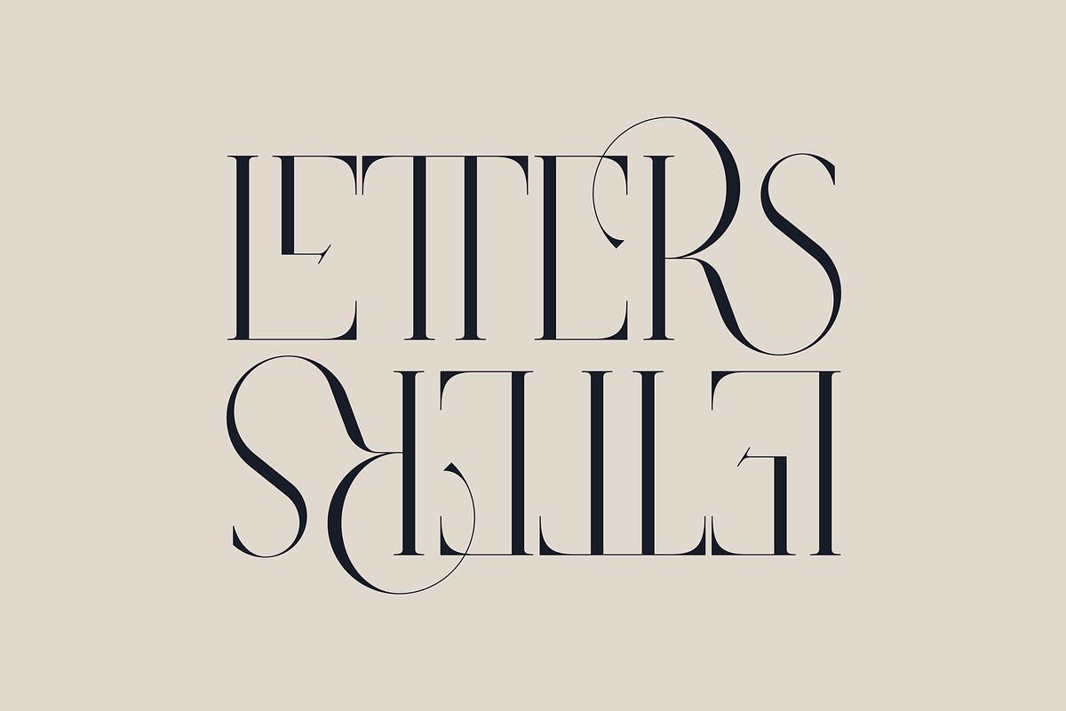 SALE! Type Master - serif font, a Serif Font by VP Fonts (Photo 17 of 24)