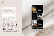 Modern Mailchimp Email Template, an Email Template by Chloe Leonard Studio (Thumbnail 1 of 4)