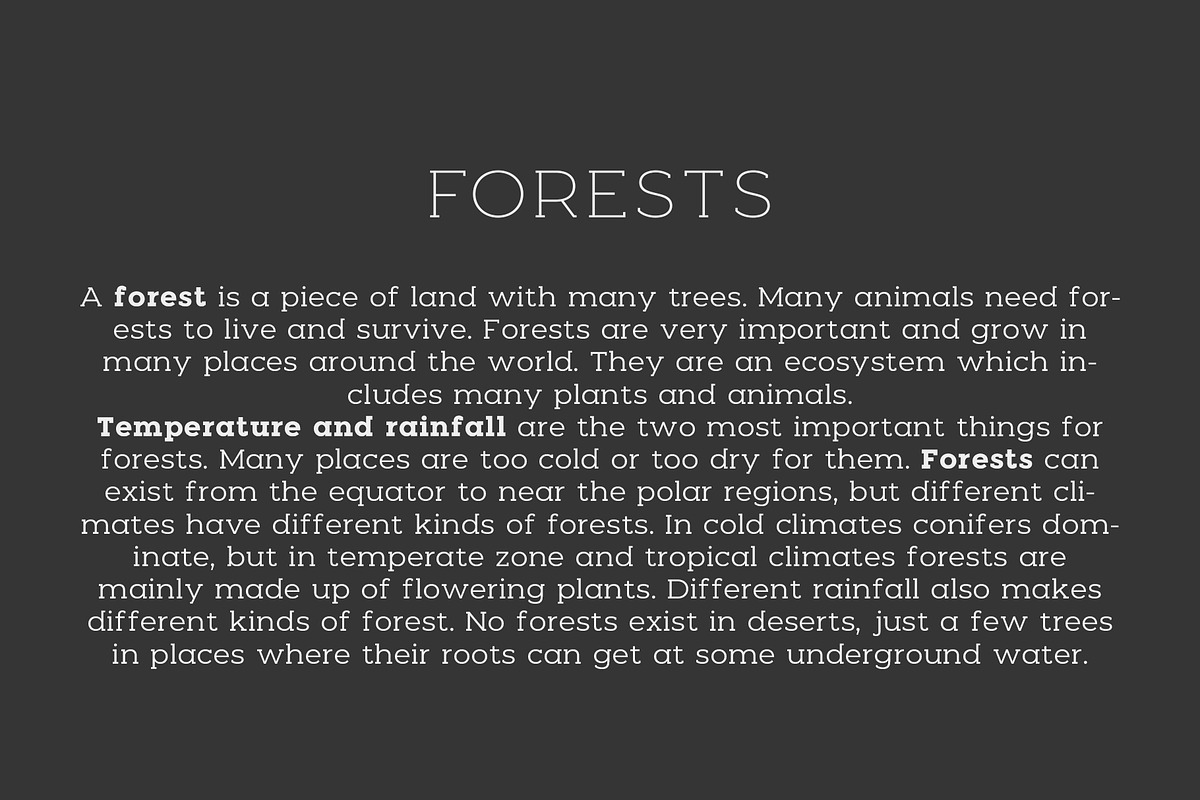 Woodman Slab Serif Font, a Slab Serif Font by Graphicdome (Photo 8 of 14)