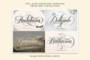 Carista Calligraphy, a Script Font by Pista Mova (Thumbnail 10 of 10)