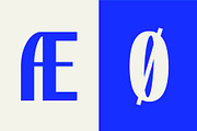SK Rohkea — Modular Display Grotesk, a Sans Serif Font by Shriftovik Type Foundry (Thumbnail 5 of 16)
