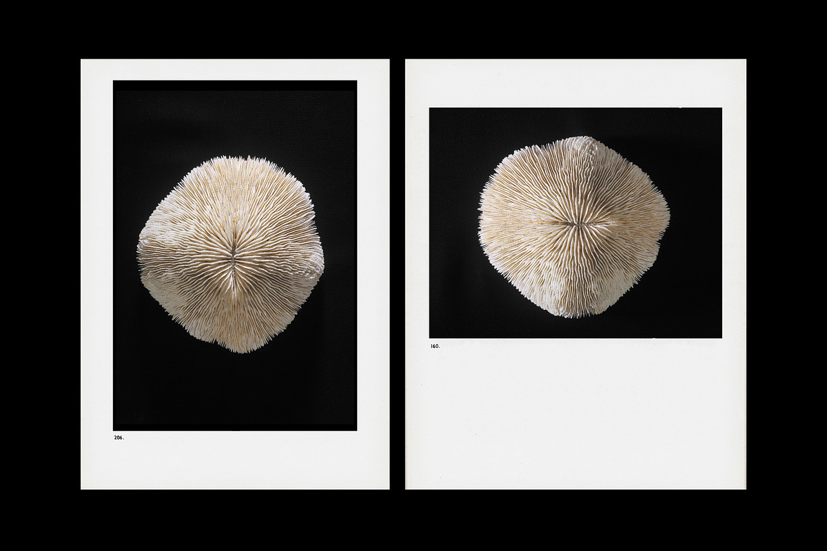 Vintage Scan Borders And Textures⸻1, a Texture Graphic by Studio Viita (Photo 3 of 8)
