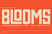 Blooms - Display Font, a Sans Serif Font by Alpaprana (Thumbnail 1 of 11)