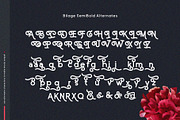Bilage, a Sans Serif Font by 160 Studio (Thumbnail 8 of 15)