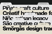 GC Godthem - Display Grunge Sans, a Sans Serif Font by Glyphonic (Thumbnail 9 of 15)