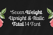 Ralsteda Font Family, a Script Font by Seniors (Thumbnail 7 of 18)